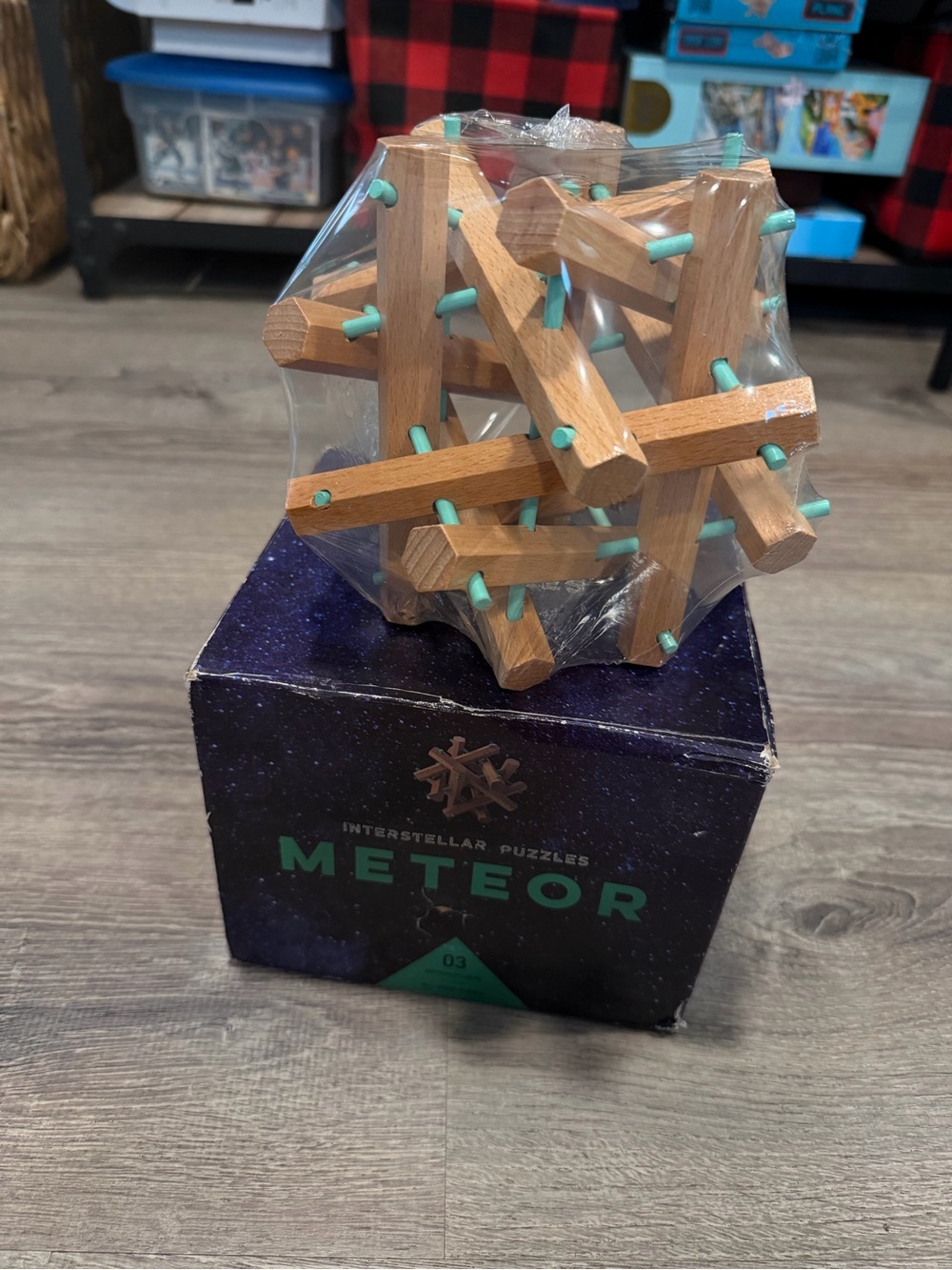 Meteor Wooden Brain Teaser Puzzle - Natural Wood with Teal Pegs